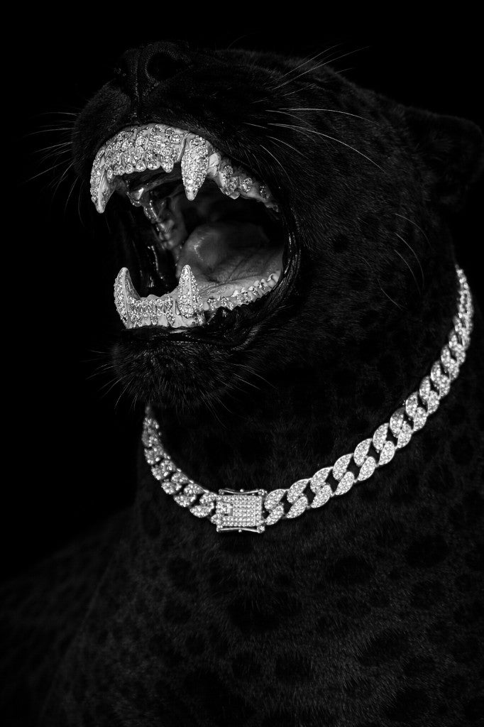 Black panther with diamond grillz and Cuban link chain